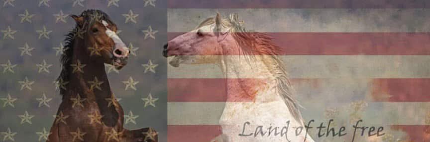 Kari45's profile banner image