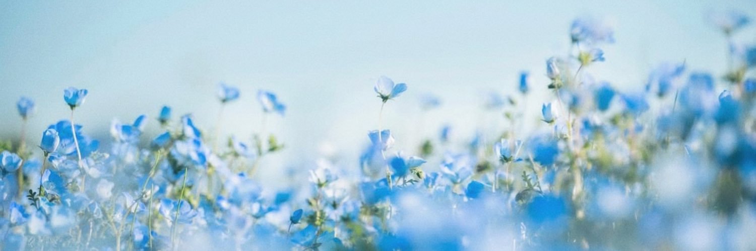 hyacinthW's profile banner image