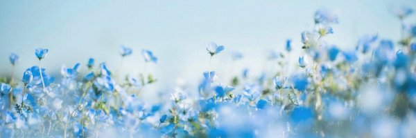 hyacinthW Profile Banner