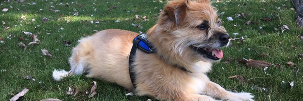 ocriv Profile Banner