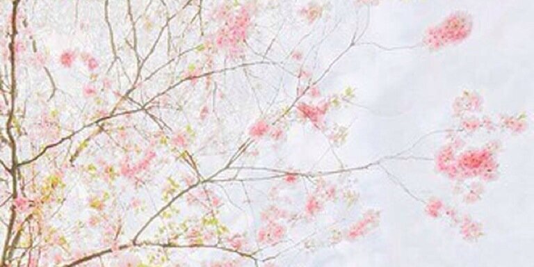 ruthc2912's profile banner image