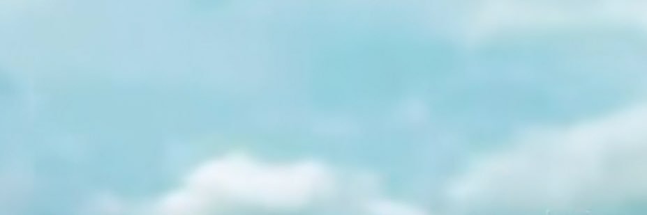 PATT PAY 🐽 banner
