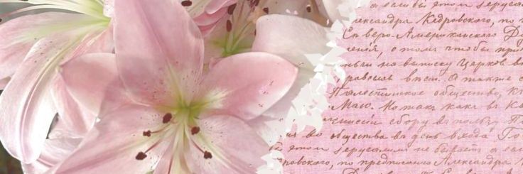 ‎ ‎ ‎ ‎ ‎ 𝜗𝜚 mumi. banner