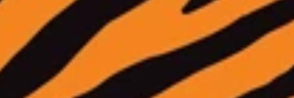 Ipswichtigerbb Profile Banner