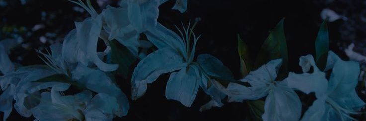 mira 🌸 | saw skz on 30.07.25 ❤️‍🩹 banner