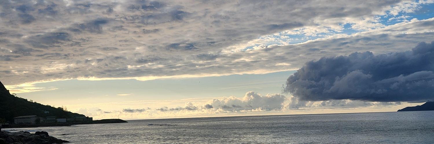 trueOya's profile banner image