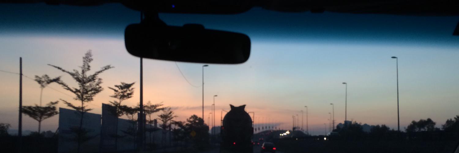 lowweixin's profile banner image