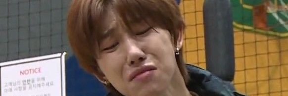 scaryymonster's profile banner image