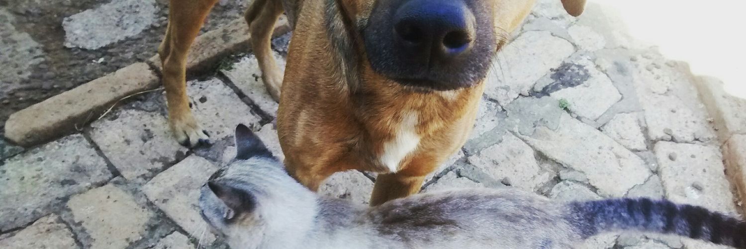_monarsd's profile banner image