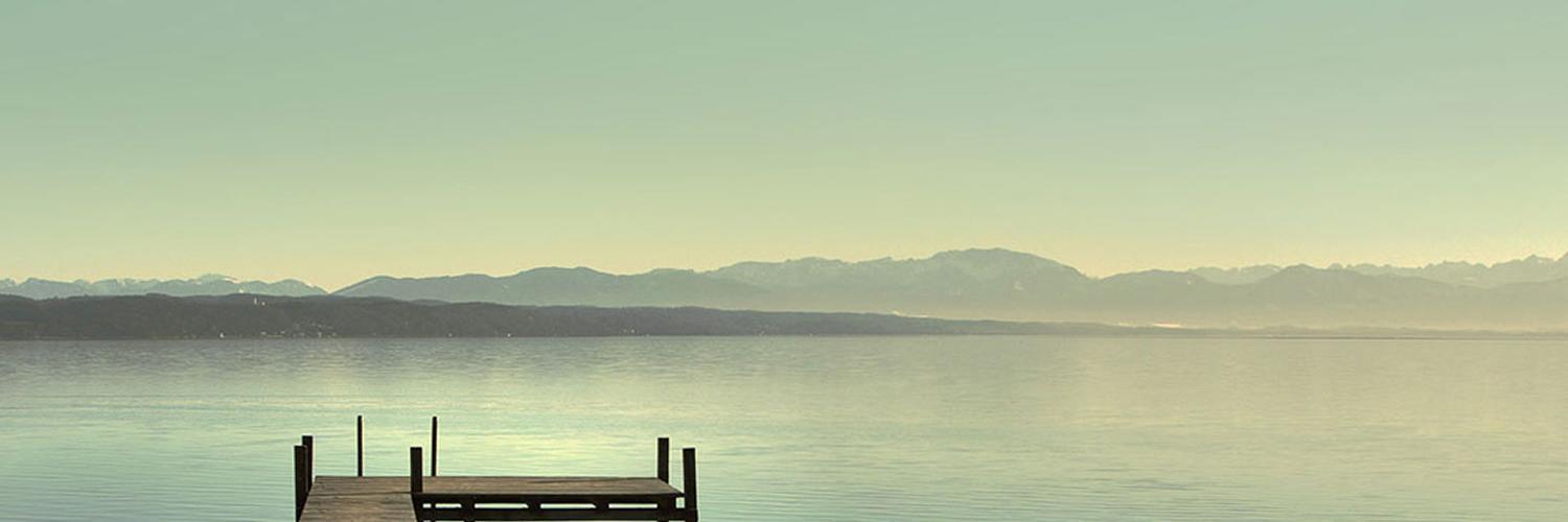 Daneczech banner