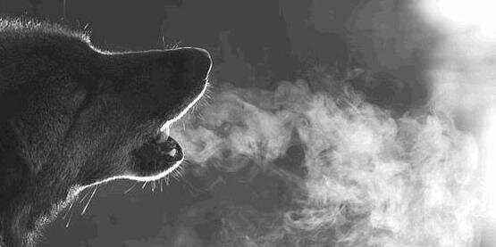 xbitchyo's profile banner image