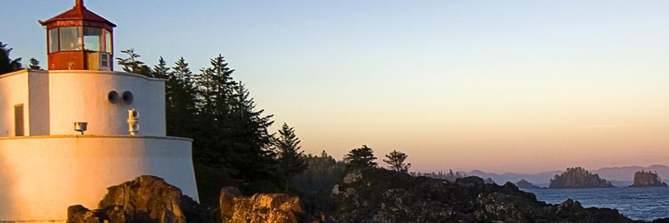 blackedwildcat's profile banner image