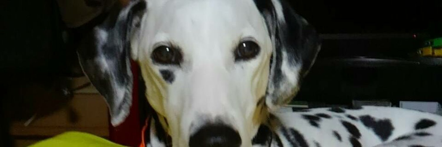 achako_alpha's profile banner image