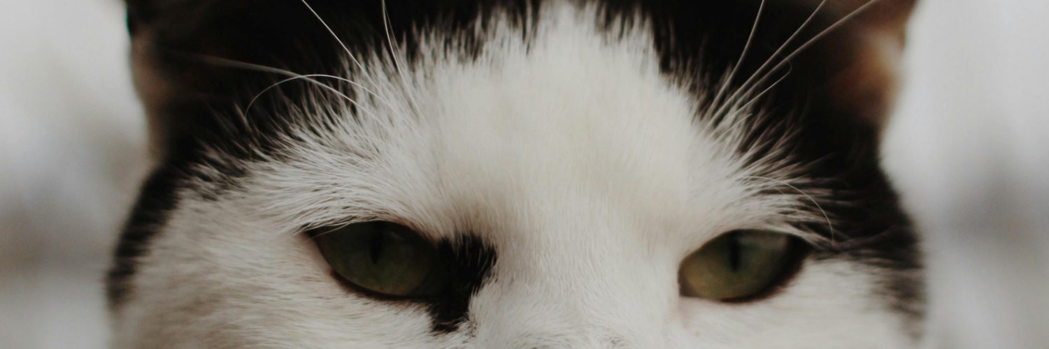 ShemekaMayes6's profile banner image