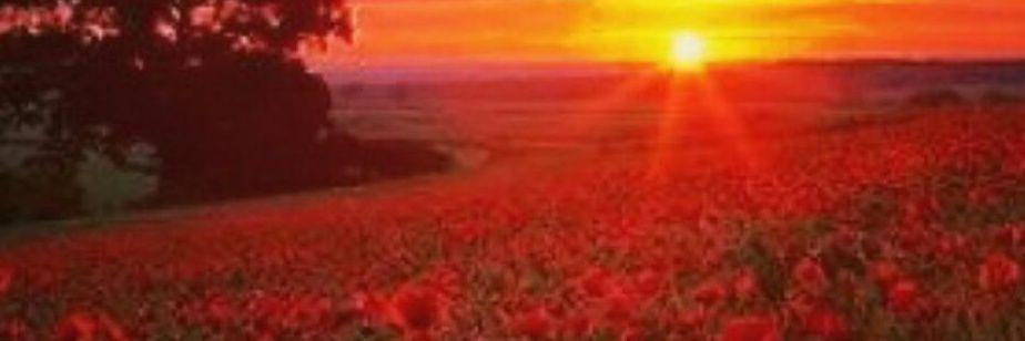 Kay161986's profile banner image