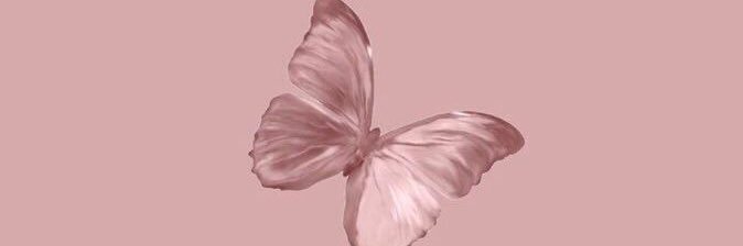 move @aishloveyou banner