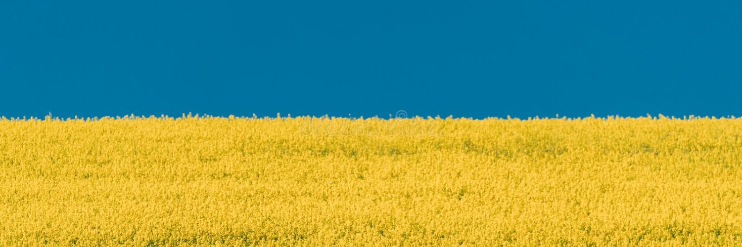 ashuvashu's profile banner image
