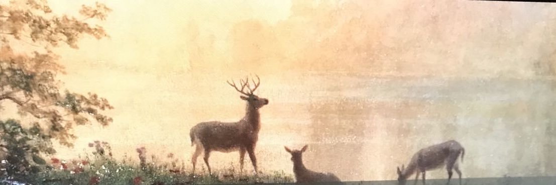 Miles• loves El hopper❤️ banner