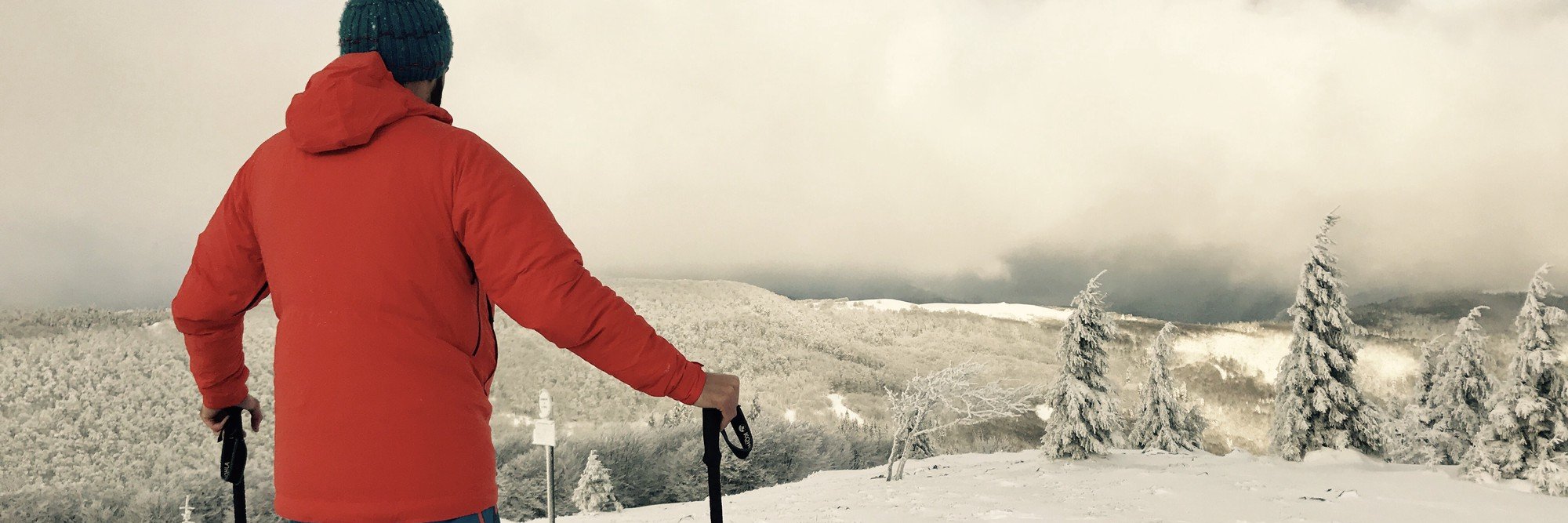 Julien Lavault banner