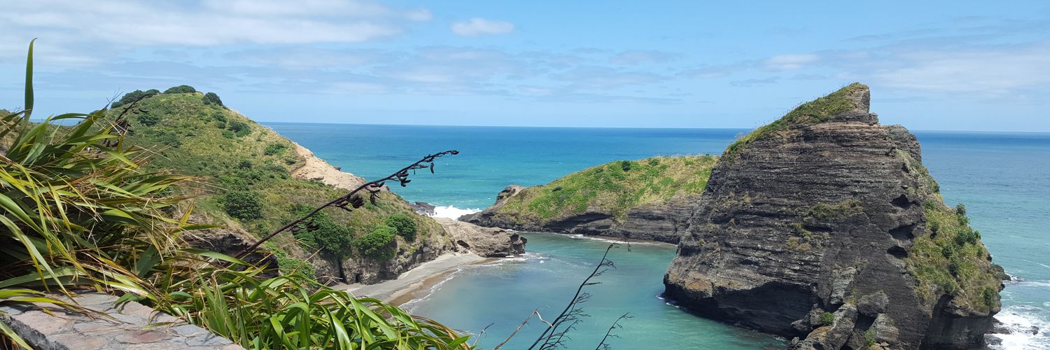 Shrestaneel's profile banner image