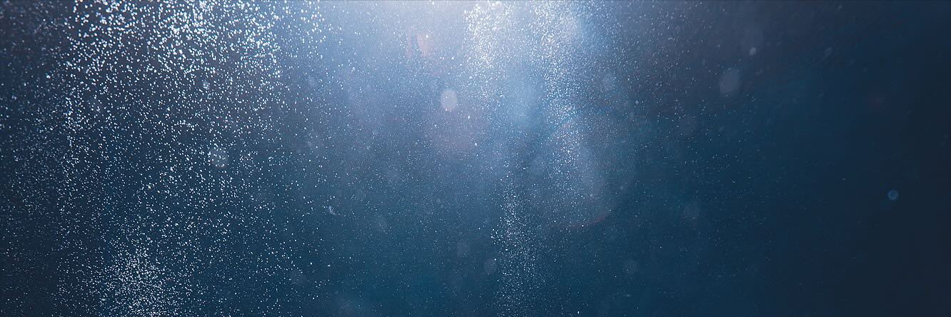 𝑴𝑵. banner
