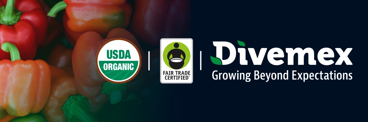 DivemexBells's profile banner image