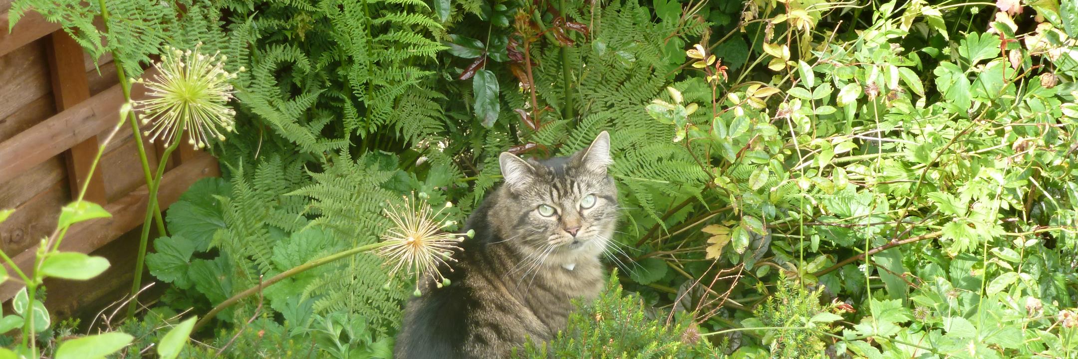 Maureen Pinder banner