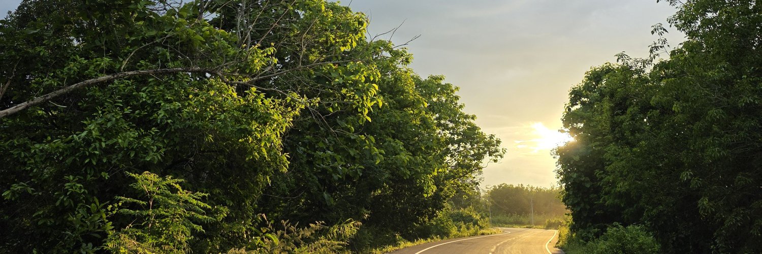 Thaioil65's profile banner image