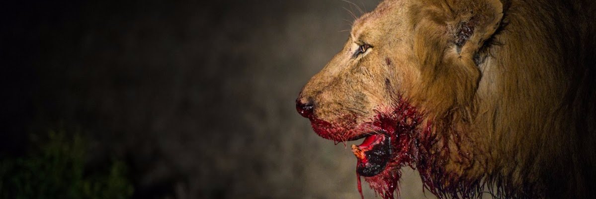 _SergioScratch's profile banner image