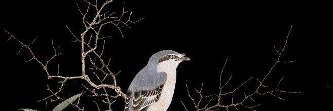 Emilio Sánchez banner