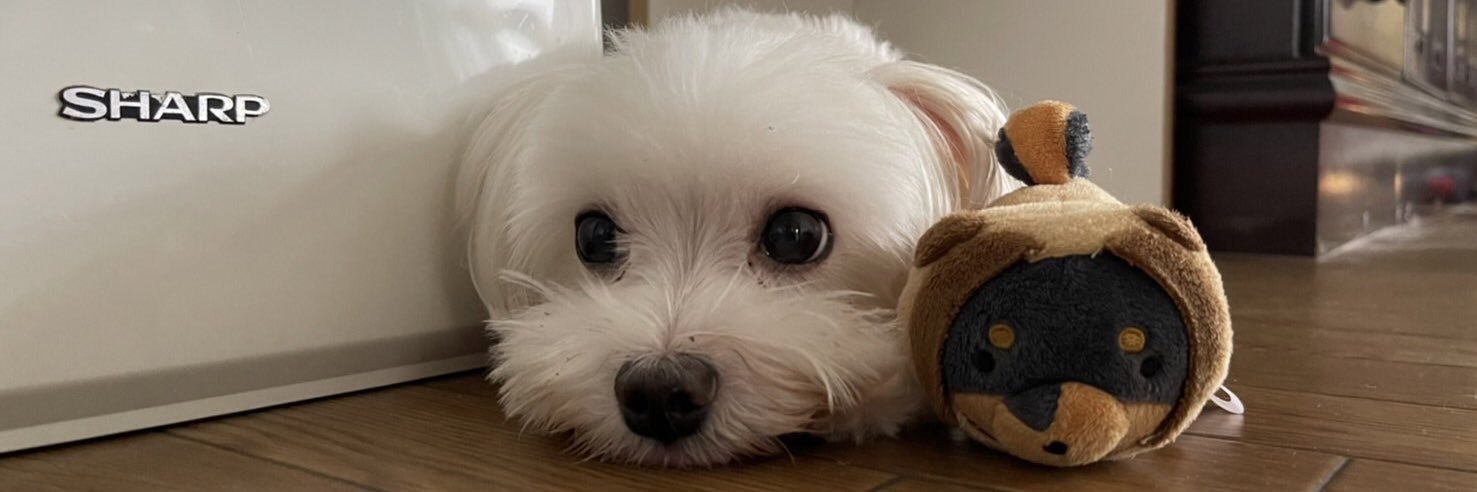 たっぷぅちゃん banner