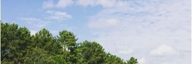 Mathilde Petit banner