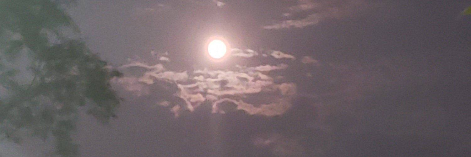 billy1233's profile banner image