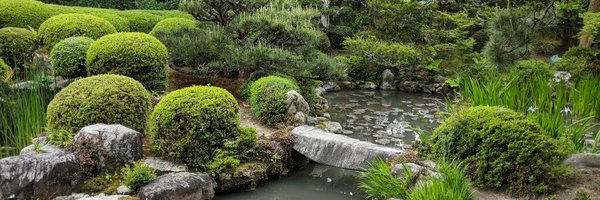 i2tsuki_ Profile Banner