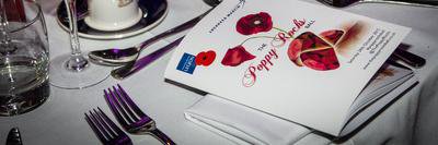 ThePoppyRocks's profile banner image