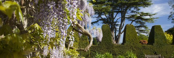 NymansNT Profile Banner