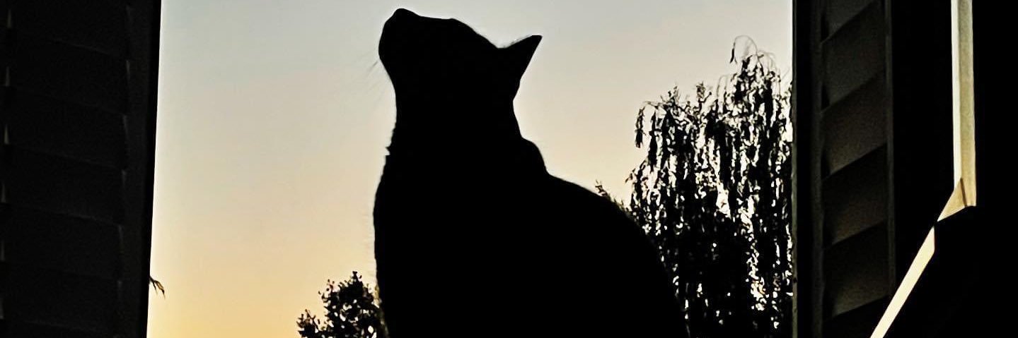 StephPirson's profile banner image