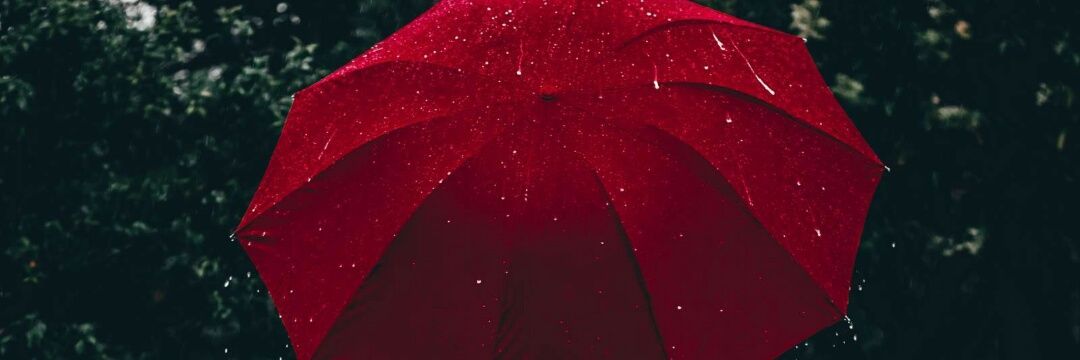 cansuavsr's profile banner image