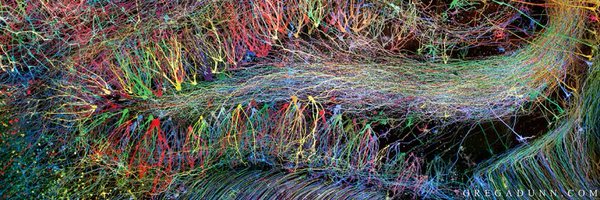 jordijorneet Profile Banner