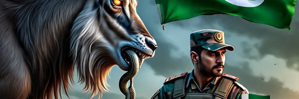 FrontLineWarior Profile Banner