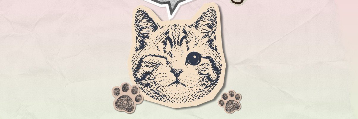 psychmin__'s profile banner image