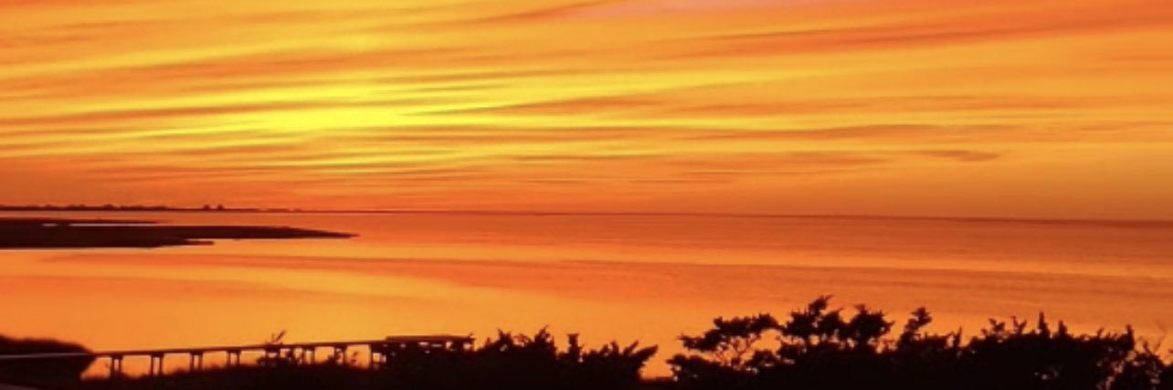 Drew Mathison banner