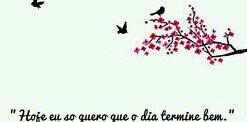 Dea_Tenorio's profile banner image