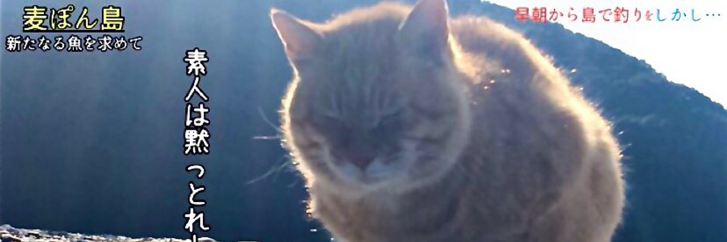 麦ぽん🦭カプロライダーまん banner