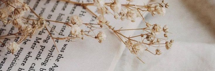 m_torressss's profile banner image