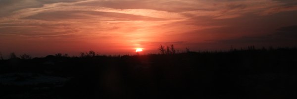 nicolaspizzi Profile Banner