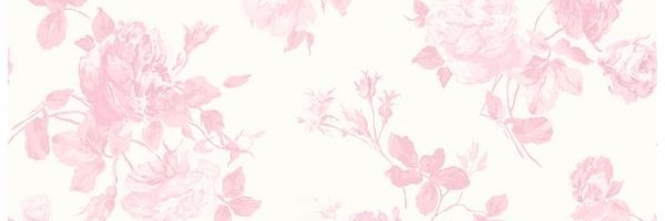 𝐿 𑣲 banner
