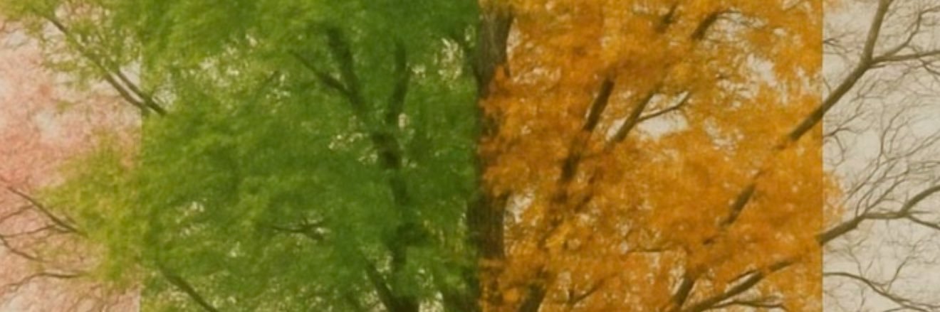The One banner