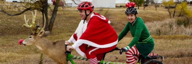 Krista Burich banner