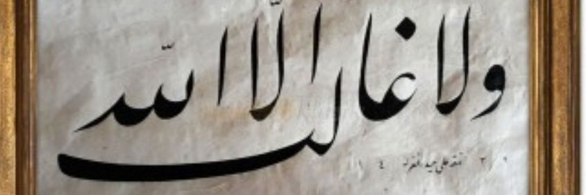 zglmrve's profile banner image